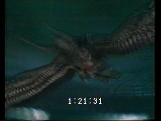 �K���E�O���t�H����